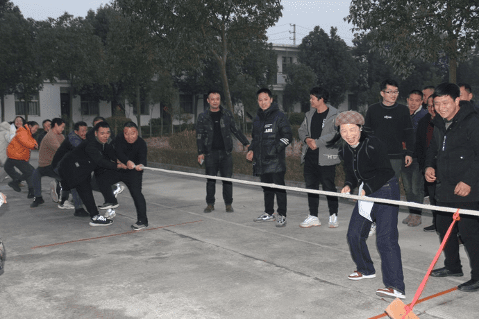 龙马精神展风采  龙腾虎跃迎新年